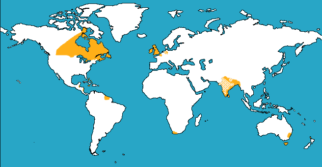 Map of the British empire at its greatest extent in 1920 Stock